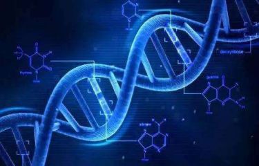 DNA杂交检测